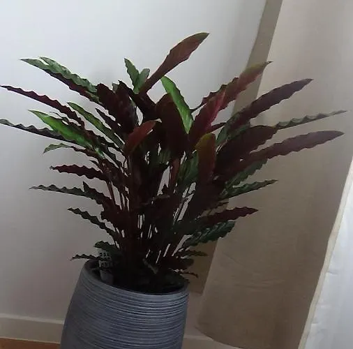 Na Jeziornej Apartmán